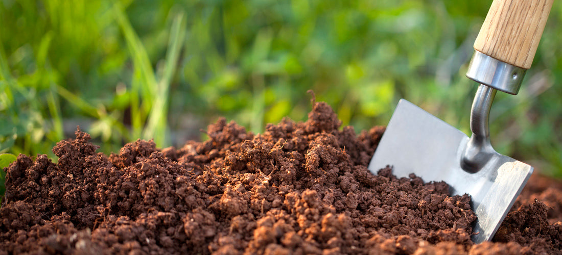 breaking_ground_with_space_in_soil_1200x1200.jpg?v\u003d1567448299