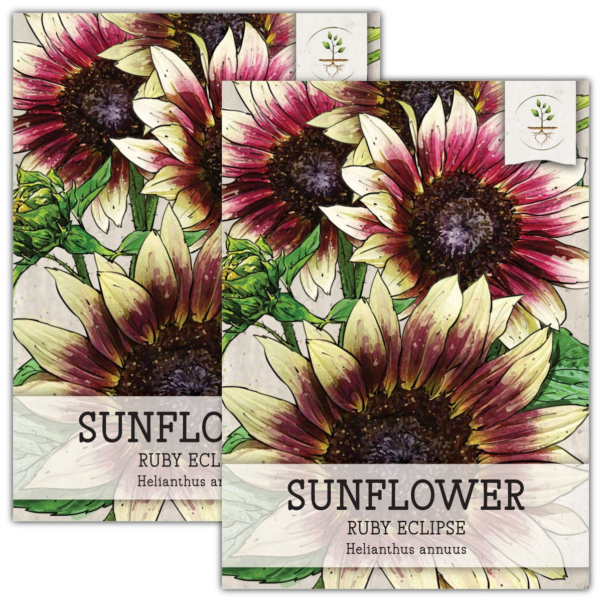 Ruby Eclipse Sunflower Seeds For Planting (helianthus Annuus) – Seed 