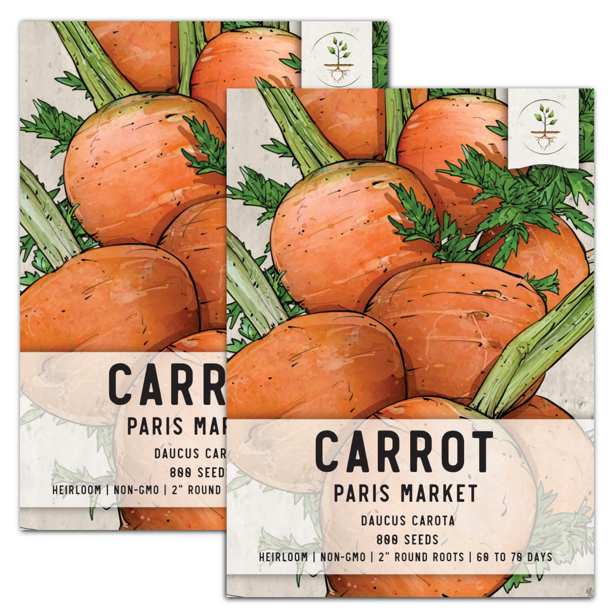 Paris Market Carrot Seeds For Planting (Daucus carota) Seed Needs