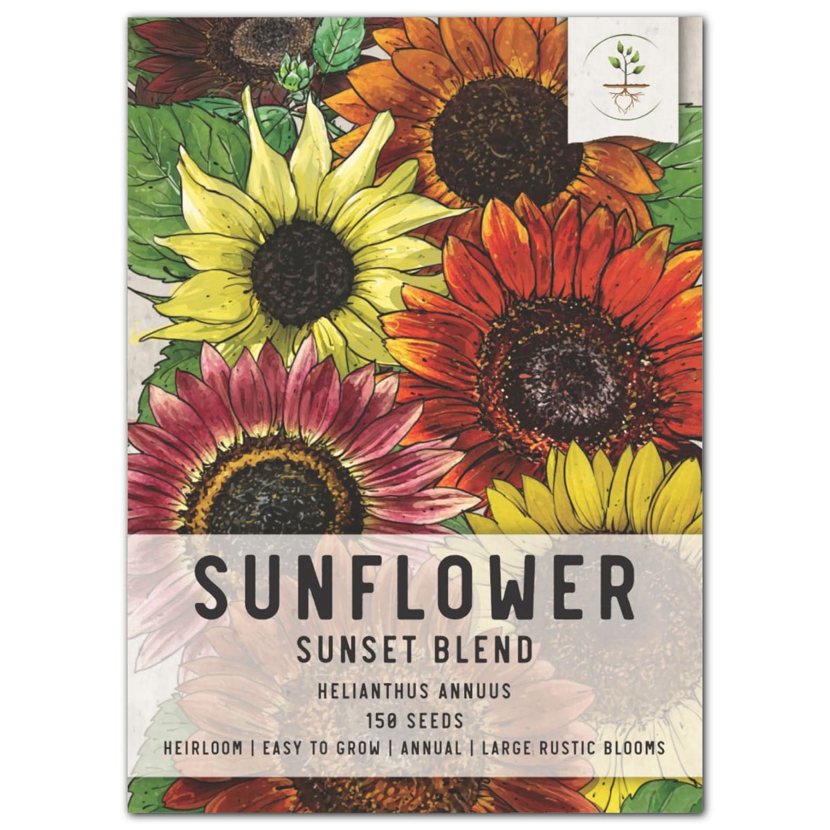 Sunset Blend Sunflower Seeds For Planting (helianthus Annuus) 7 Types 