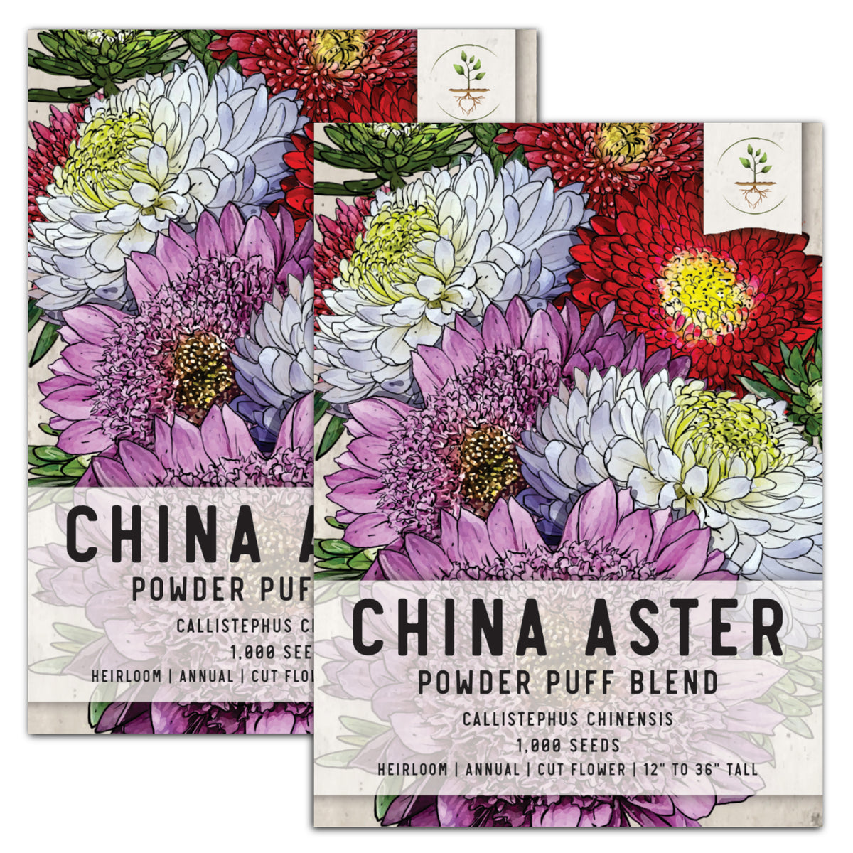 China Aster Seeds - Powderpuff Mix