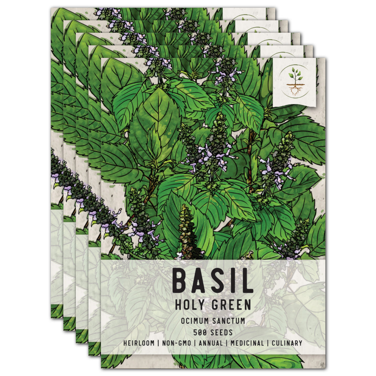 Tulsi Holy Basil Herb Seeds For Planting Ocimum sanctum Seed