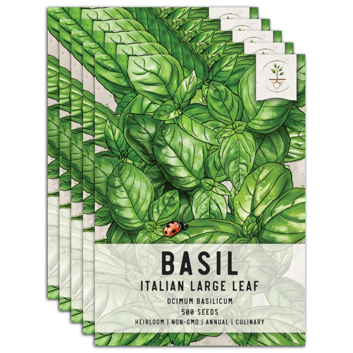 Italian Large Leaf Basil Seeds For Planting Ocimum basilicum