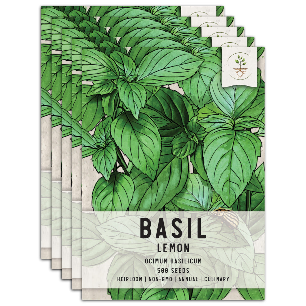 Lemon Basil Seeds For Planting Ocimum basillicum citriodorum