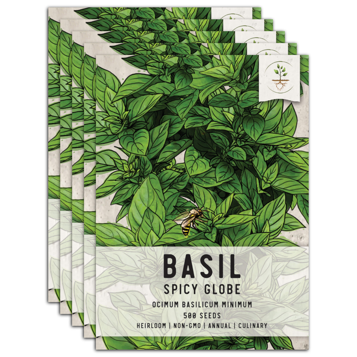 Spicy Globe Basil Seeds For Planting Ocimum basilicum Seed