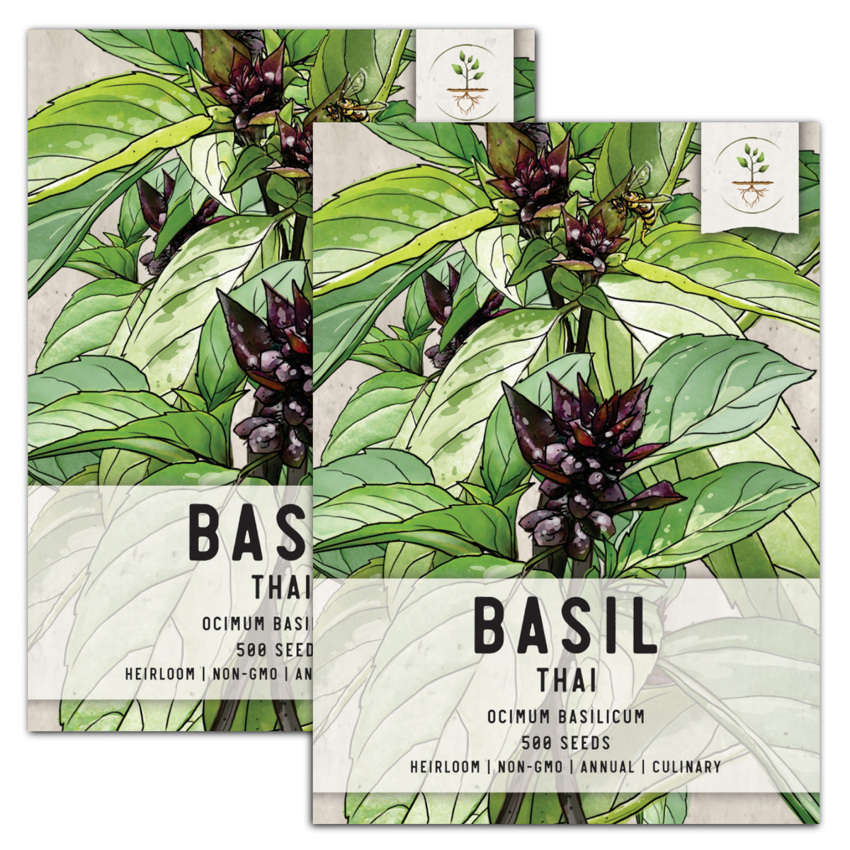 Thai Basil Seeds For Planting Ocimum basilicum Seed Needs LLC