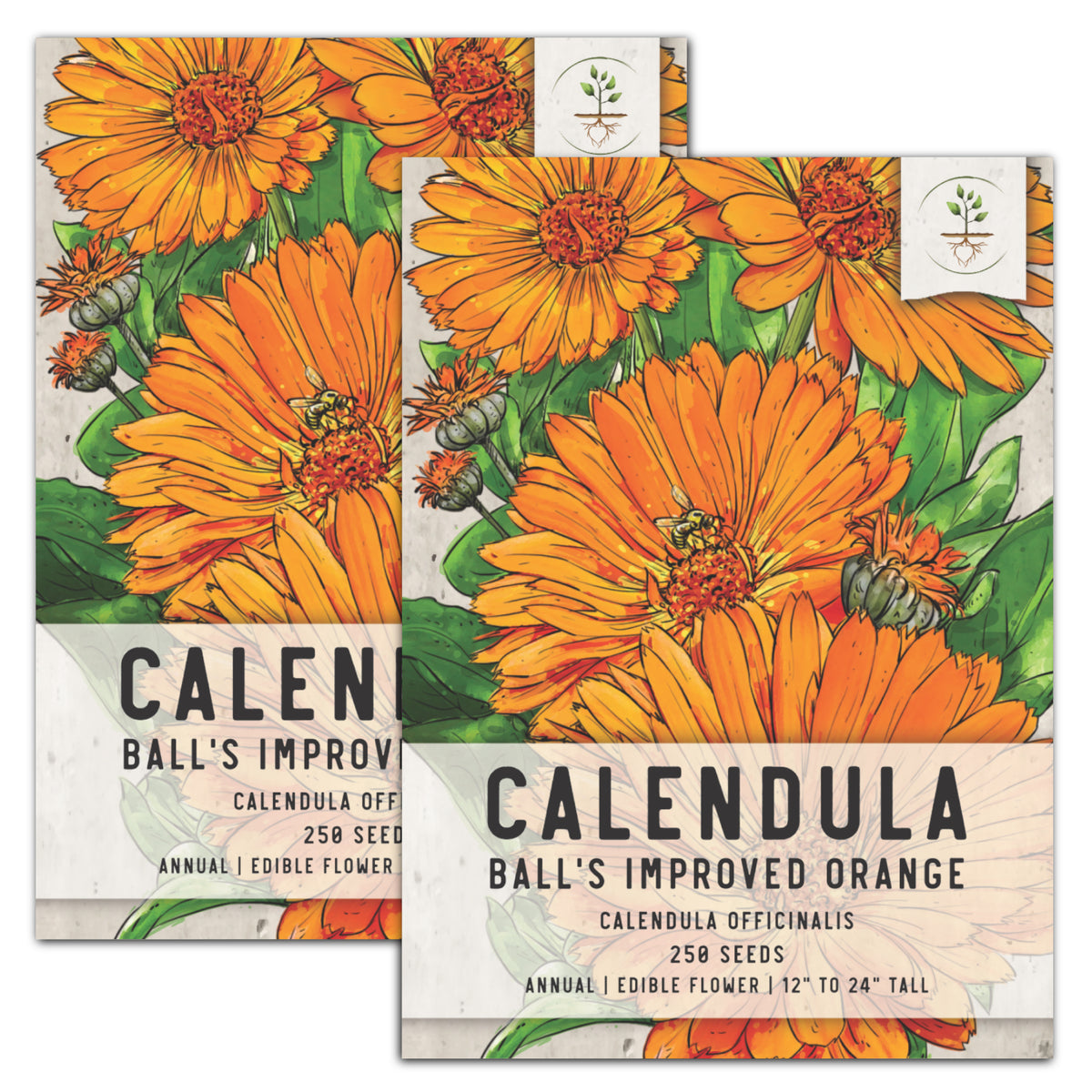 Orange Calendula Flower Seeds 363