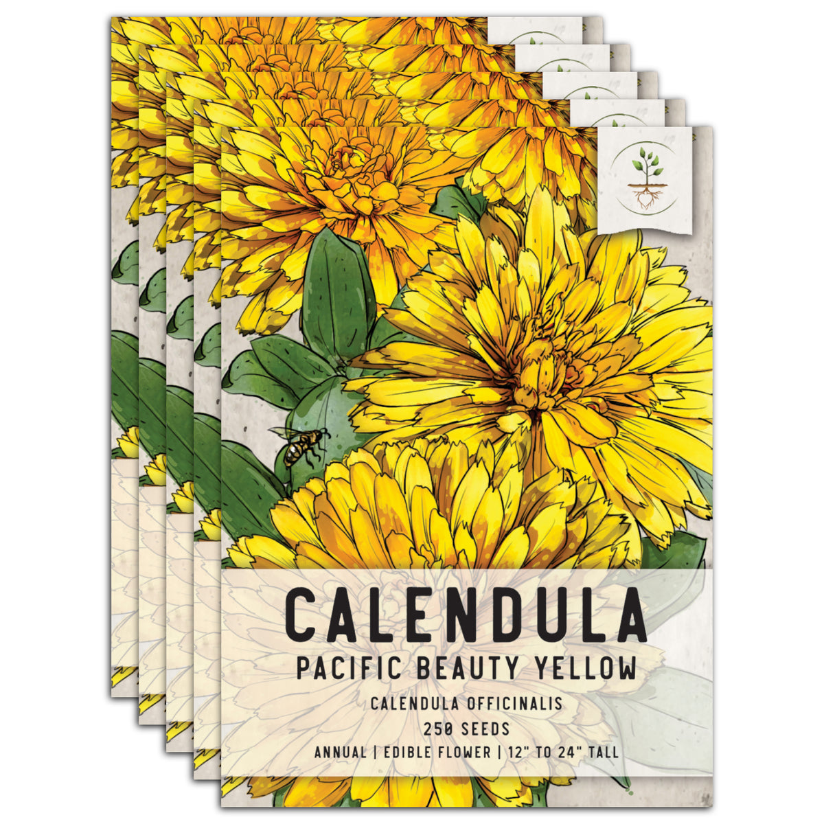 Organic Calendula Seeds 'Pacific Beauty' for Your Butterfly Garden!