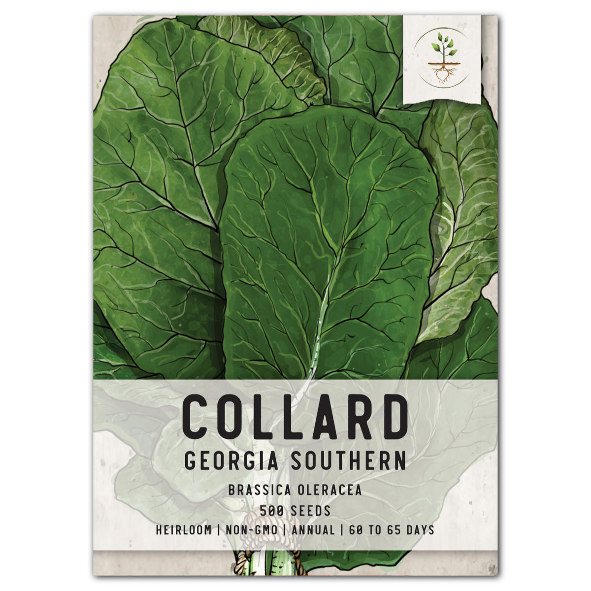 Collards Georgia Southern Annual Vegetable Organic Seeds from Ferry-Morse Seeds