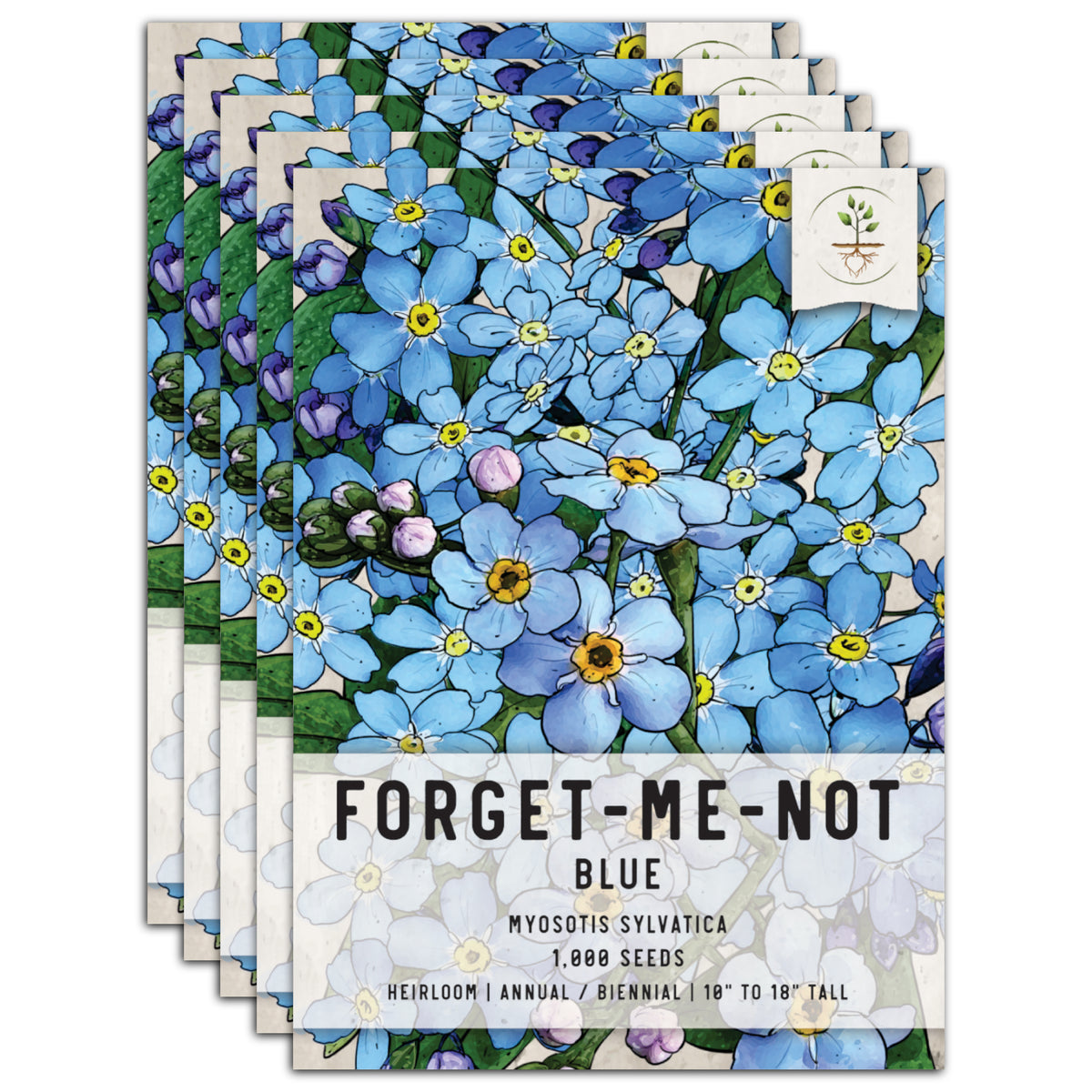 Forget Me Not Flowers (Myosotis sylvatica) - Over 5,000 Premium Seeds