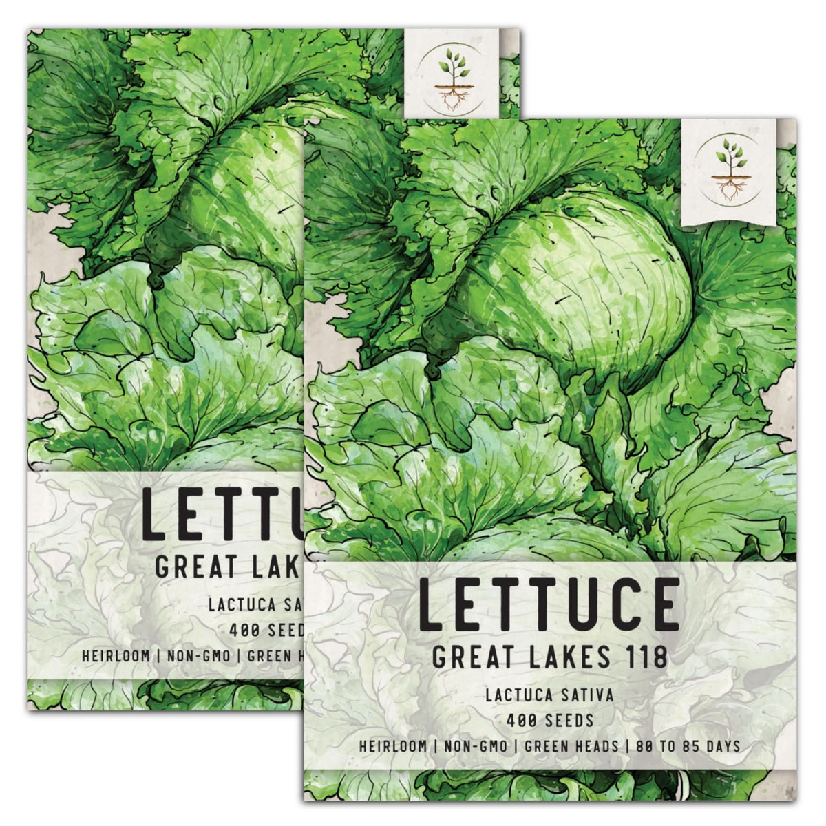 Great Lakes 118 Lettuce Seeds Lactuca Sativa Seed Needs Seed