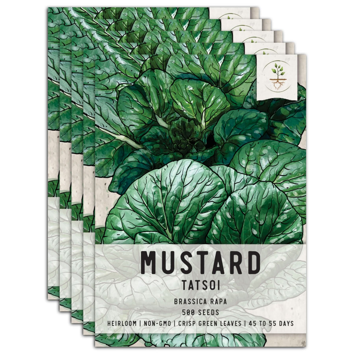 Mustard Seeds (Heirloom), Shop 7 Varieties