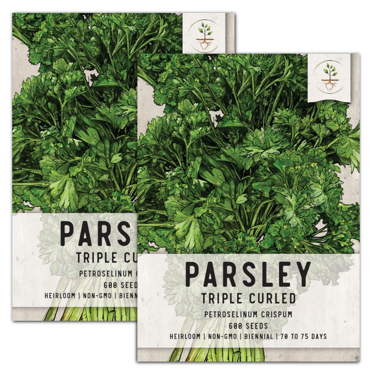 parsley seeds