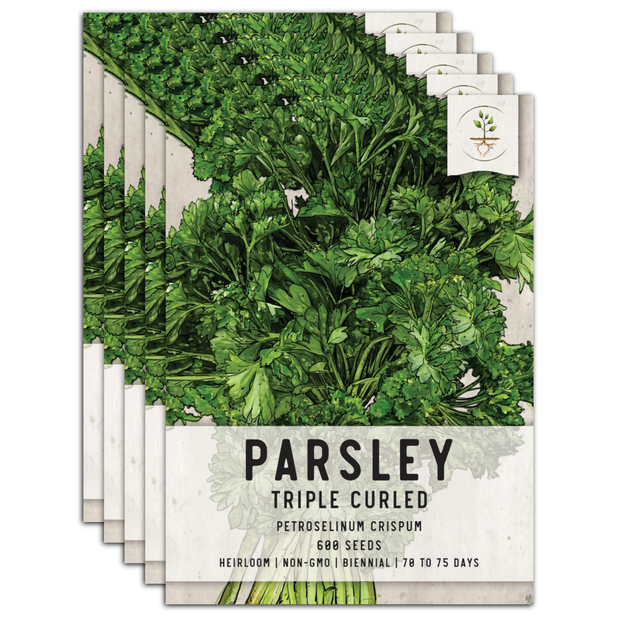 parsley seeds