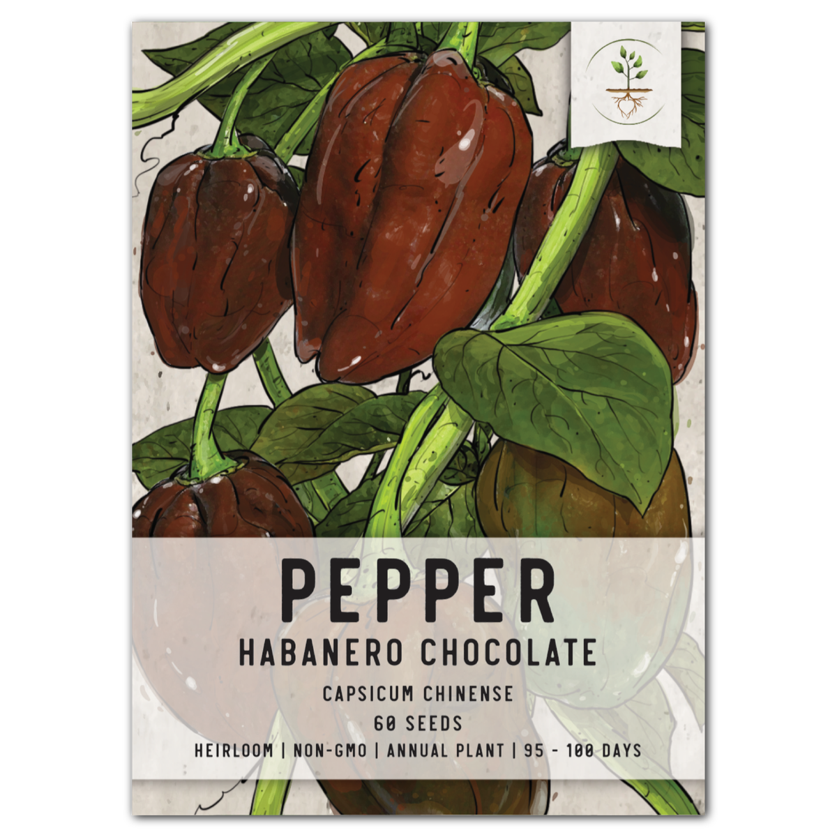 Chocolate Habanero Seeds For Planting (Capsicum Chinense) – Seed Needs LLC