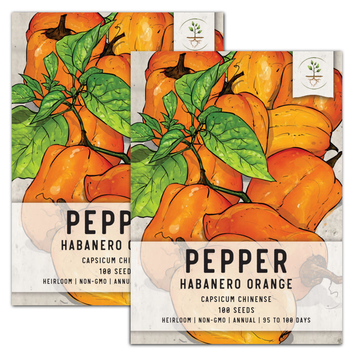Orange Habanero Pepper Seed For Planting (Capsicum Seed Need – Seed Needs LLC