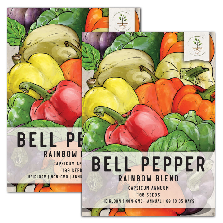 Fresh Bell Pepper, Green