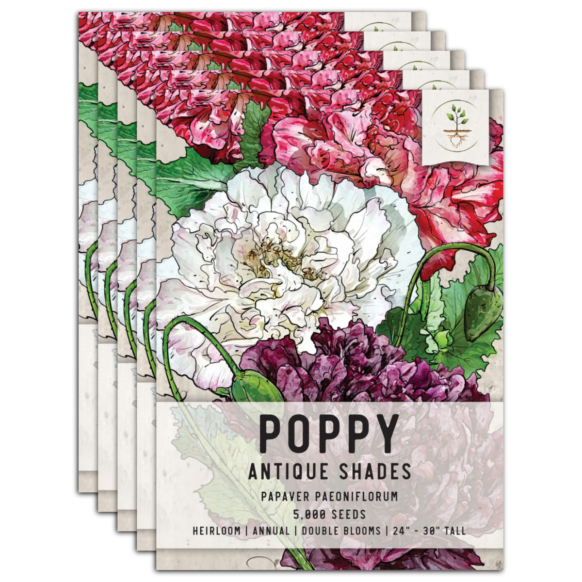 Antique Shades Peony Poppy (Papaver paeoniflorum) - Seed Needs