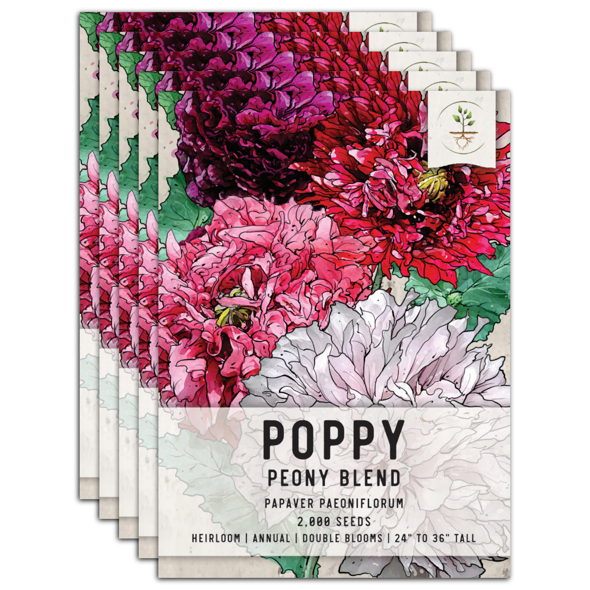 Double Blend Peony Poppy Seeds For Planting (Papaver paeoniflorum) – Seed  Needs LLC