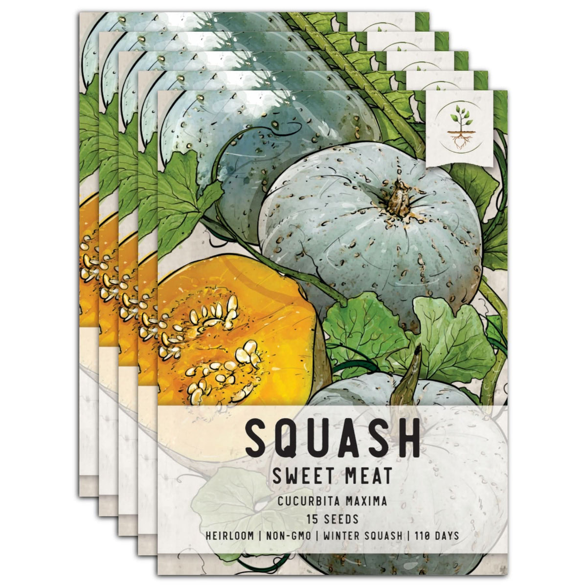 Sweet meat squash plant