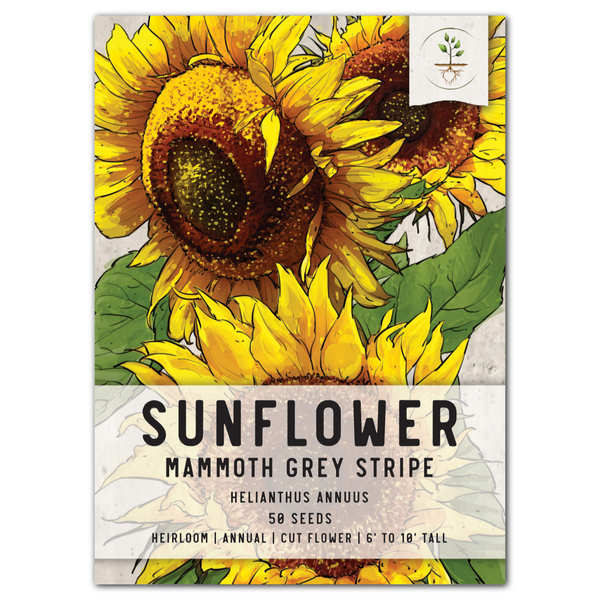 Mammoth Grey Stripe Sunflower Seeds For Planting (Helianthus