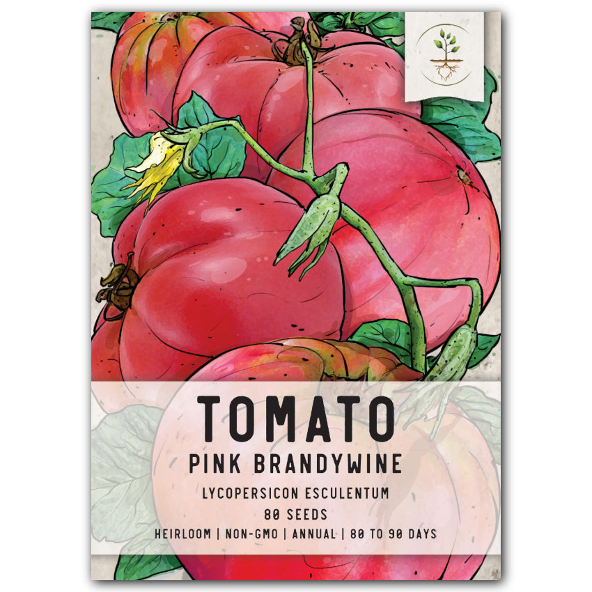 Tomato, Pink Brandywine Seeds