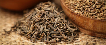 Caraway: Beyond the So-Called Seed