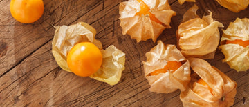 HOW TO GROW GROUND CHERRIES FROM SEED