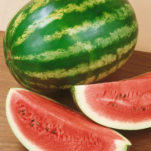 Organic Crimson Sweet Watermelon Seeds For Planting