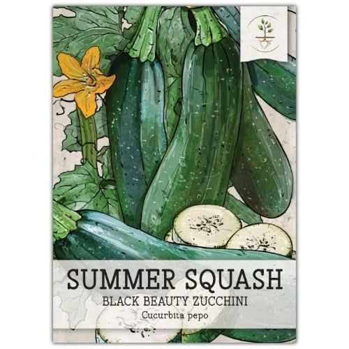 Black Beauty Zucchini, Summer Squash Seeds For Planting (Cucurbita pepo)