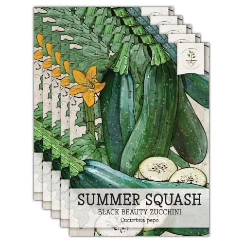 Black Beauty Zucchini, Summer Squash Seeds For Planting (Cucurbita pepo)