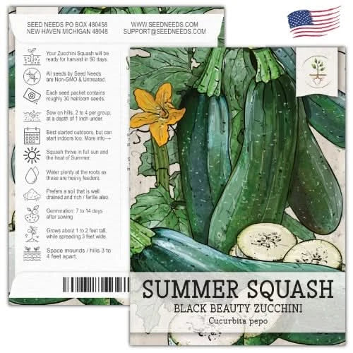 Black Beauty Zucchini, Summer Squash Seeds For Planting (Cucurbita pepo)