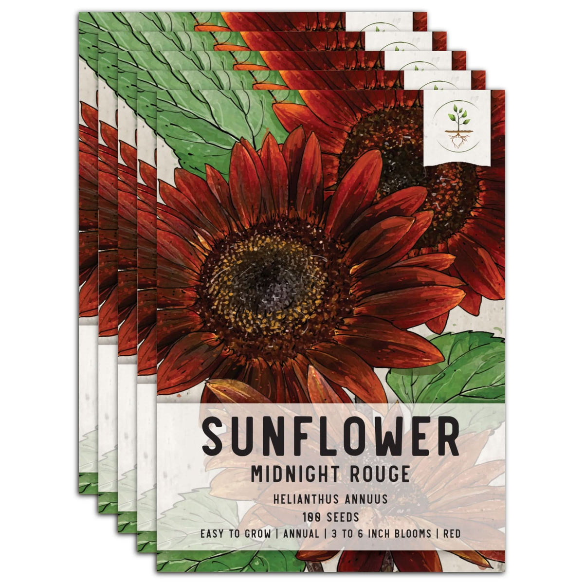 Midnight Rouge Sunflower Seeds For Planting (Helianthus annuus) – Seed ...