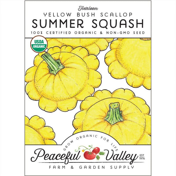 Organic Scallop Yellow Bush Summer Squash Seeds For Planting