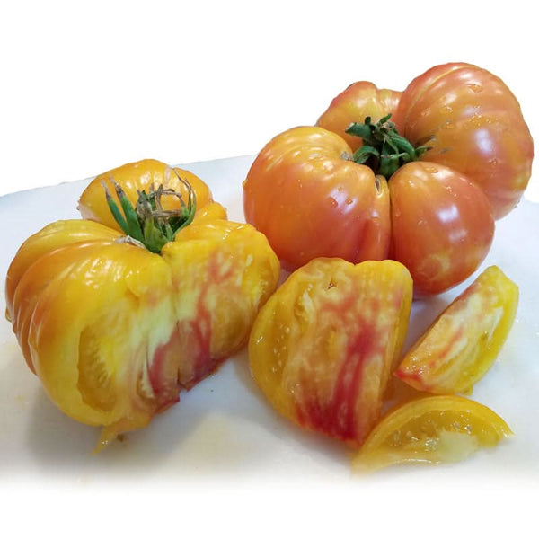 Organic Big Rainbow Tomato Seeds For Planting