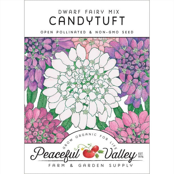 Organic Candytuft, Dwarf (pack)