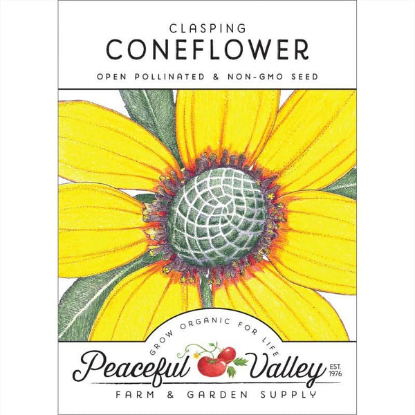 Organic Coneflower, Clasping (pack)