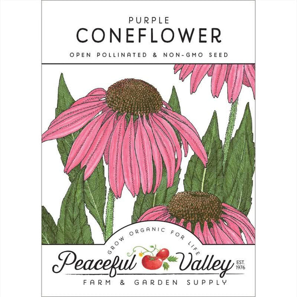 Organic Coneflower, Purple (pack)