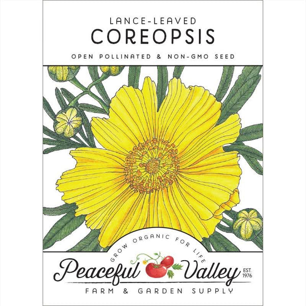 Organic Coreopsis, Lance-Leaved (pack)