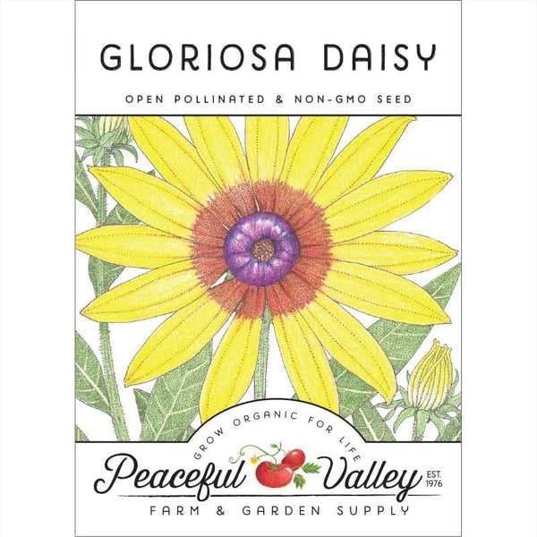 Organic Daisy, Gloriosa (pack)