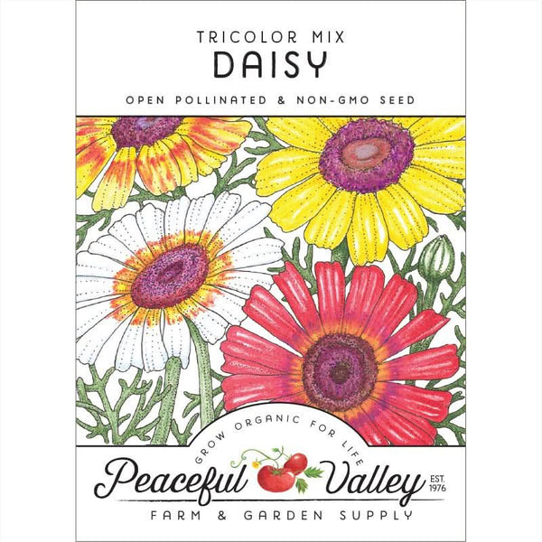 Organic Daisy, Tricolor Mix (pack)