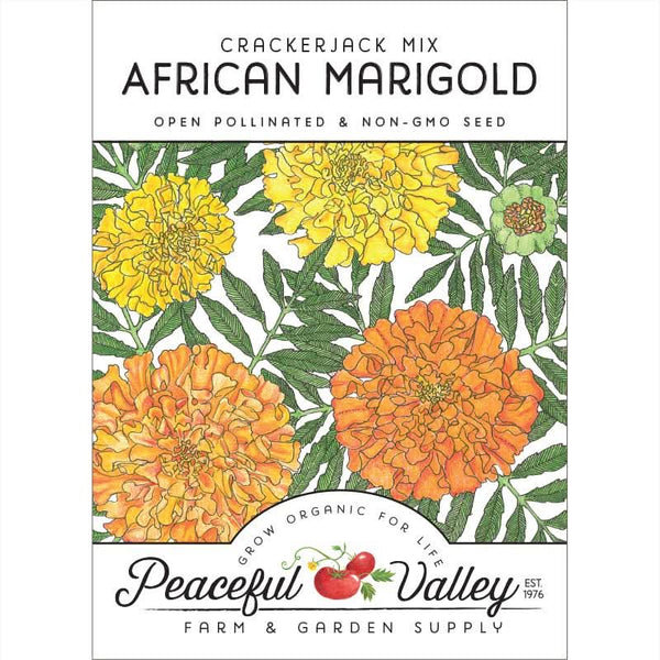 Organic Marigold, African (pack)