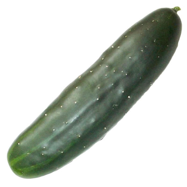 Organic Marketmore 76 Cucumber Seeds For Planting