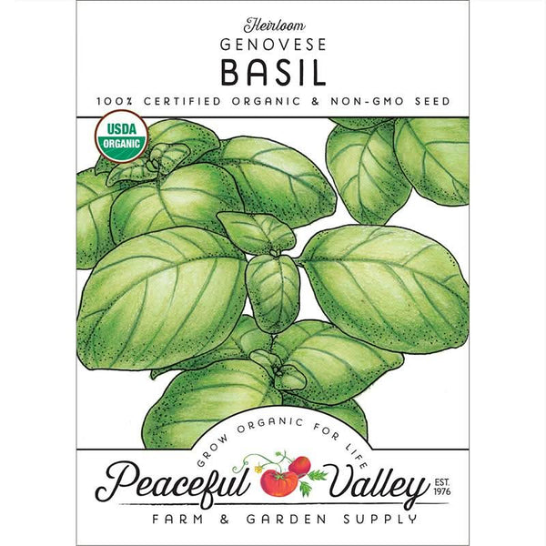 Organic Genovese Basil Seeds For Planting