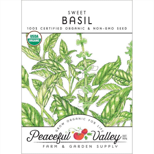 Organic Sweet Basil Seeds For Planting