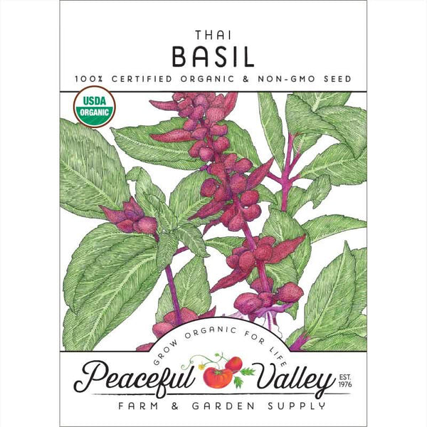 Organic Thai Basil Seeds For Planting