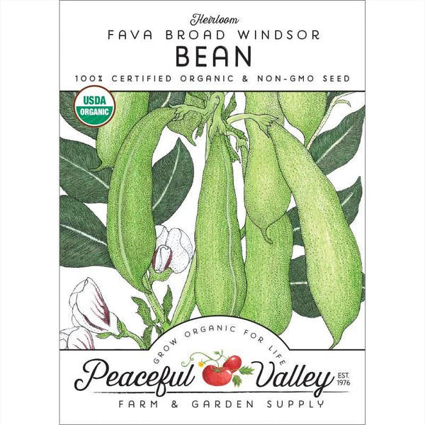 Organic Broad Windsor Fava Bean Seeds For Planting