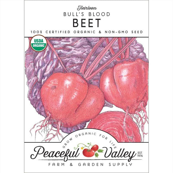 Organic Bull's Blood Beet Seeds For Planting