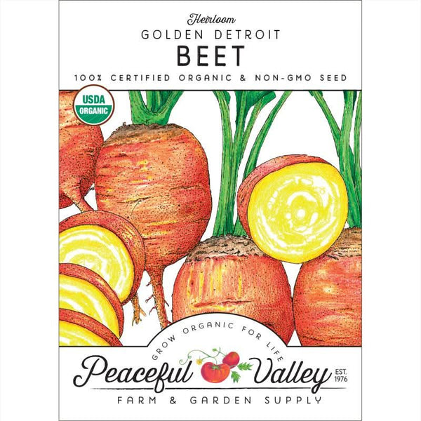 Organic Golden Detroit Beet Seeds For Planting