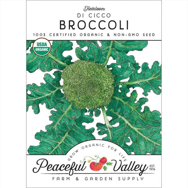 Organic Di Cicco Broccoli Seeds For Planting